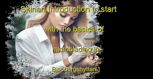 Skinart Introduction to start with the basics of microblading in Bispbergshyttan | MicrobladingTraining | MicrobladingClasses | SkinartTraining-Sweden